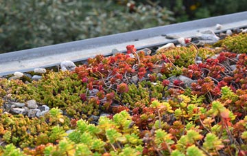 the cost of Nancenoy green roof installation